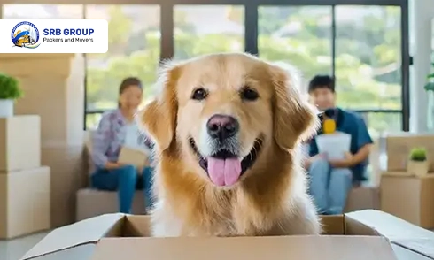 Pet Moving Service by SRB Group Packers and Movers